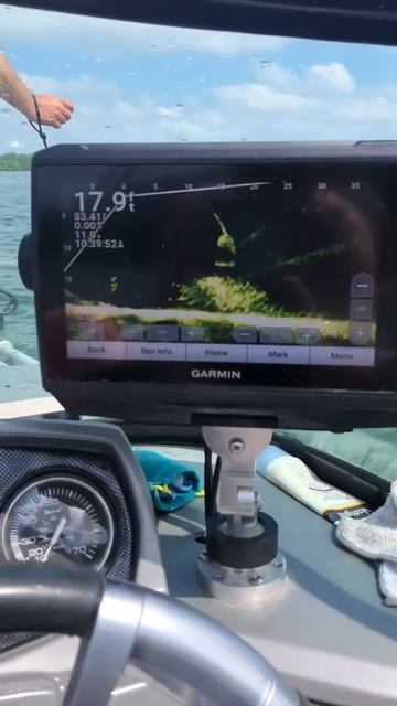 Catching bait with the Garmin Live Scope! смотреть онлайн