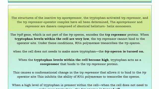 Tryptophan Operon System