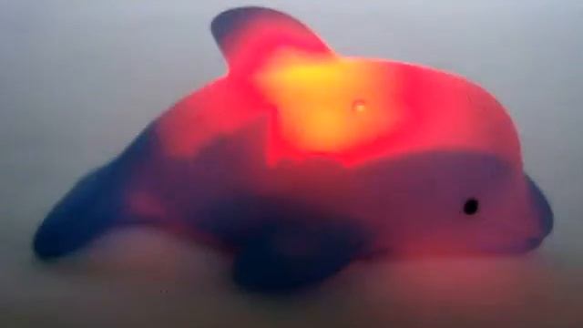 Дельфин смотреть онлайн