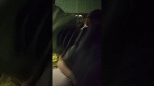 обзор чик на подарок мне