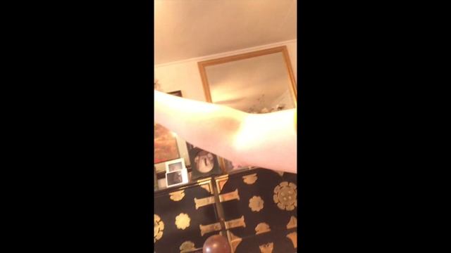 Ceiling Fans in my Grandma's House (2015 Edition, Old Video) смотреть онлайн