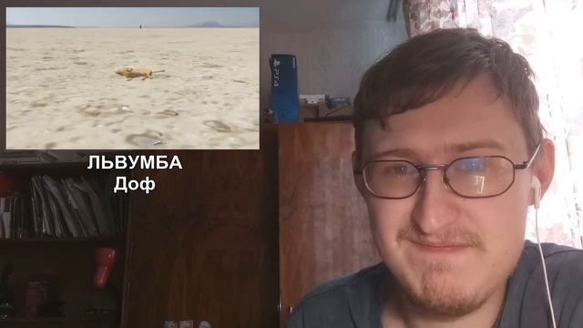 Реакция на ЛЬВУМБА | Доф смотреть онлайн