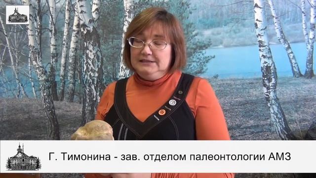 Верблюды в средневековом Азаке смотреть онлайн