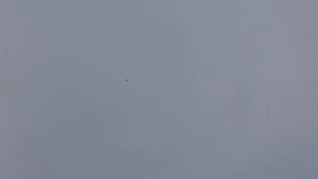Курские голуби 06 03 2016 смотреть онлайн