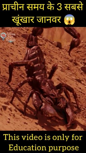 प्राचीन समय के 3 सबसे खूंखार जानवर 😱#abhayfactwallah #viralshorts #shorts #youtubeshorts #trending смотреть онлайн
