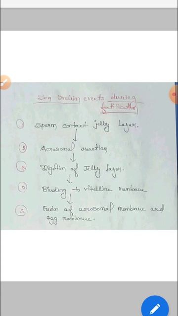 Sea urchin events during fertilization смотреть онлайн