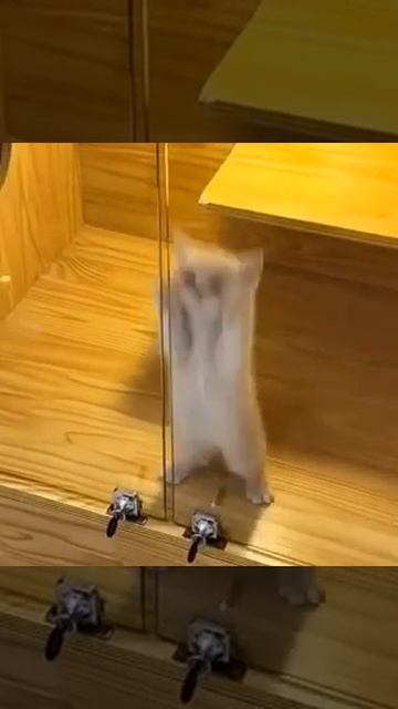 do e o que mais eu tenho um de 6 sentimentos e um amigo de um abraço pra eu comer e comer смотреть онлайн