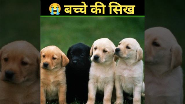 एक अपाहिज़ बच्चे की कहानी।😭 смотреть онлайн
