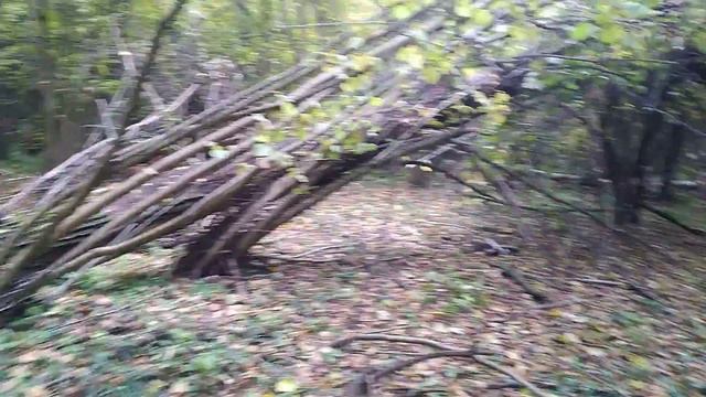 ДАРАХТ КИМИ УСТИГА ЕКИЛДИ 🤔🤔 смотреть онлайн