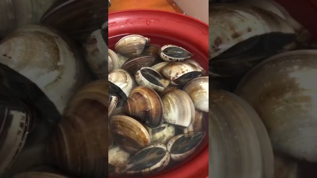 clam soup смотреть онлайн