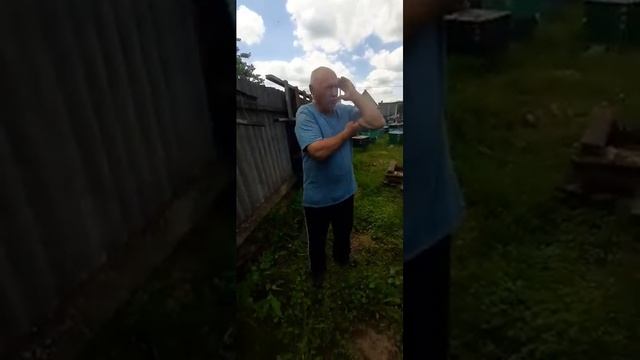 Потравили пчёл 22июня2024.Липецкая область. Распространите видео. смотреть онлайн