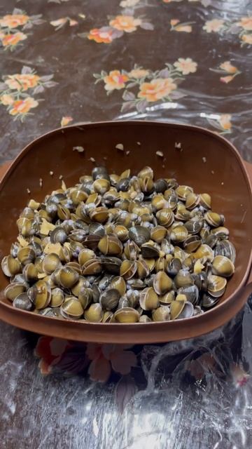 #shell#withmango# смотреть онлайн