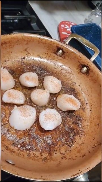 how to make blackened scallops #shorts #dbad #cooking #seafood смотреть онлайн