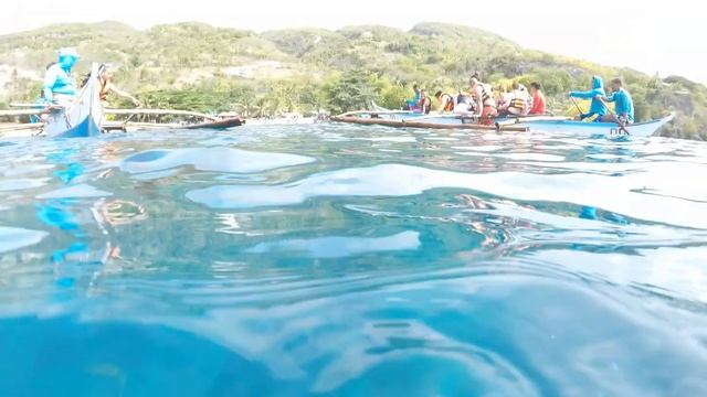 Big Adventures: Our Cebu Whale Shark Experience! смотреть онлайн