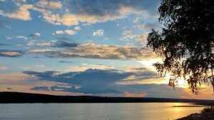 Вечернее пение соловья, соловьиная песня.