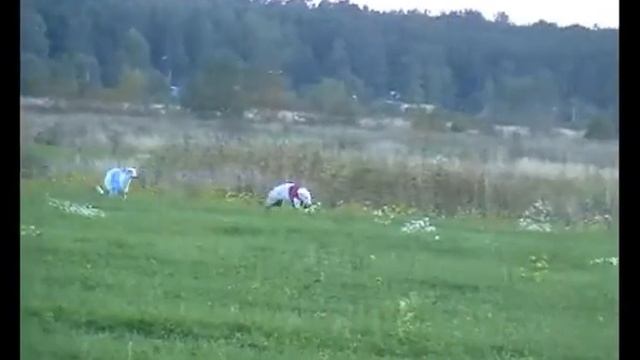 Курсинг 2012 CACL 16.09 Санкт-Петербург: Амазонка - Тиха. смотреть онлайн