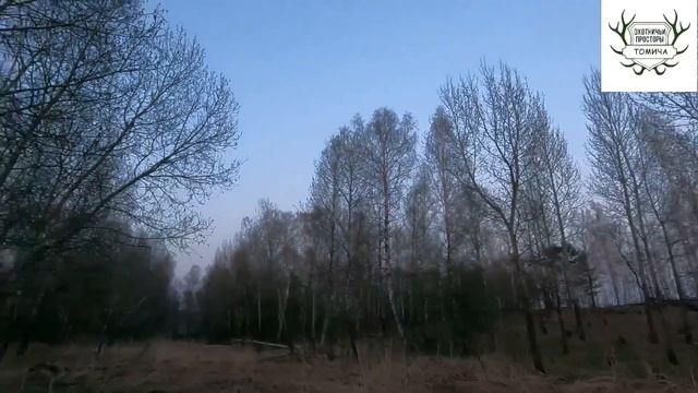 #11. Весенняя охота на Вальдшнепа с спортивным патроном. Ata Neo Stream + Progress. смотреть онлайн