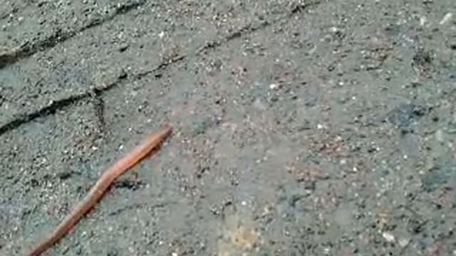 video0093 смотреть онлайн