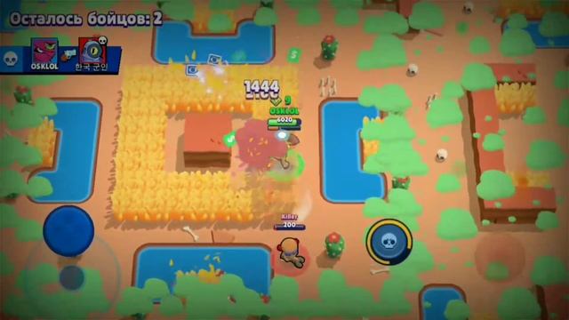 Шок выпала тара. Обзор тары смотреть онлайн