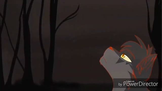 Коты воители малышка ревнует. смотреть онлайн