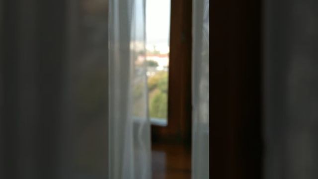 VID-20250131-WA0000 смотреть онлайн