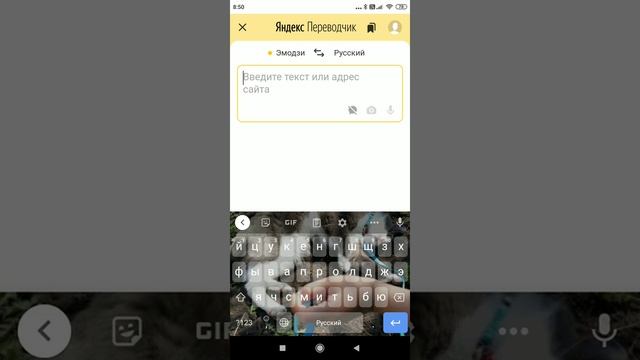 переводчик палит рэперов смотреть онлайн