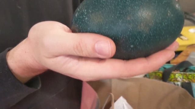 We're Incubating EMU EGGS! смотреть онлайн