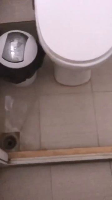 1509 6164 смотреть онлайн