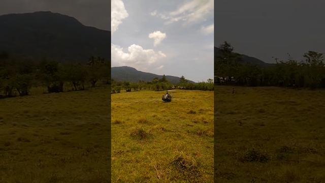 FUEZA AERIA DOMINICANAS FAD смотреть онлайн