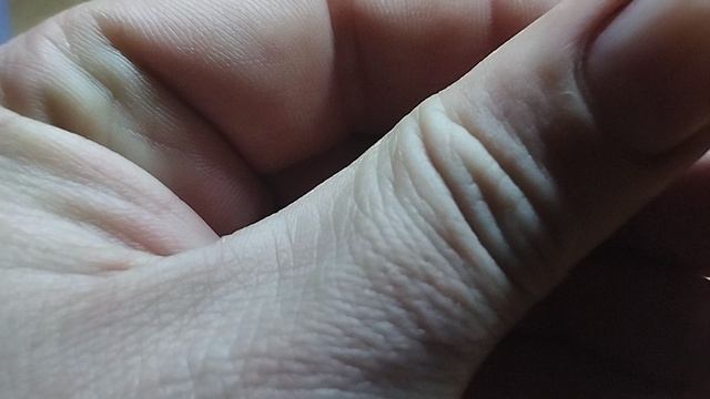 Обзор!!! КМ и многое другое!