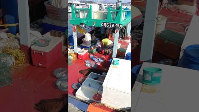VID 20200222 152337 Hong Kong, Sai Kung, Boat Market, Live Seafood