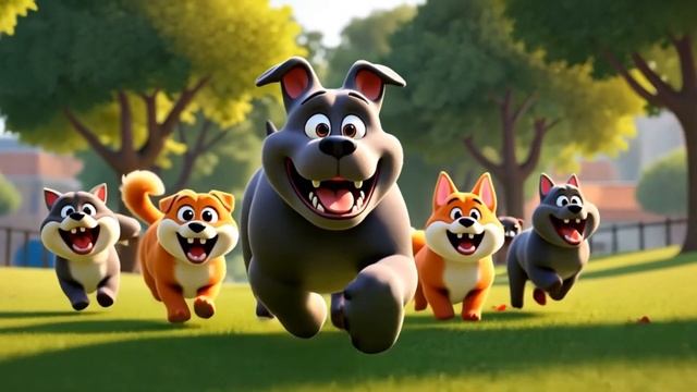 Котики и другие животные