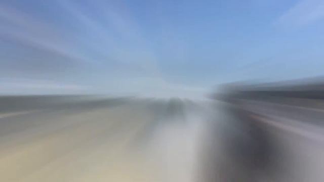 Shelby GT500 and Coyote Mustang 5.0 dominating at track смотреть онлайн