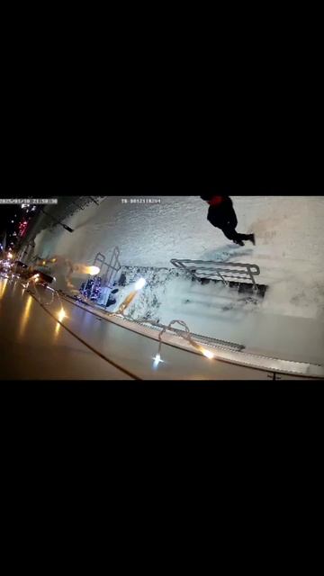 украли ёлочку у магазина😁