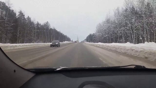 Поездка за кормами для птиц смотреть онлайн
