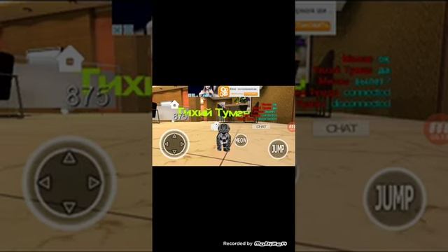 ИГРАЕМ В ИГРУ KITTEN CAT SIMULATOR (1 Cерия)