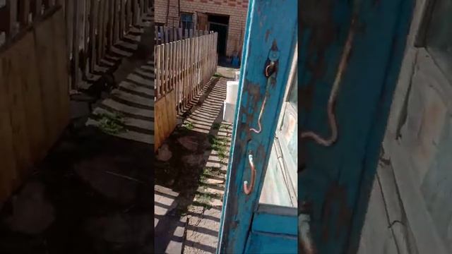 дом смотреть онлайн
