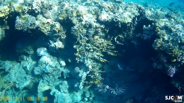 3 февраля 2023 г. смотреть онлайн