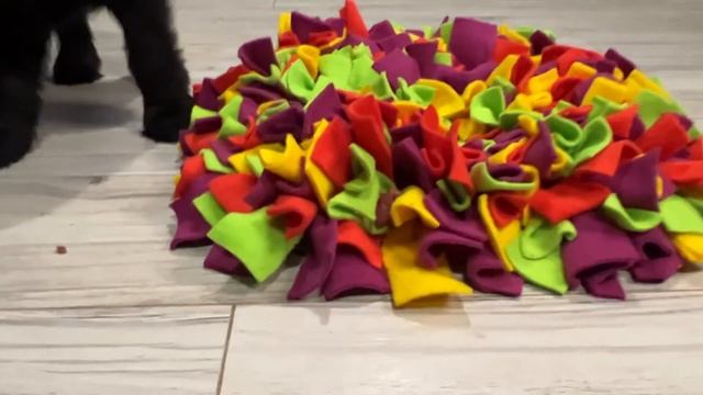 Кобель зелёный смотреть онлайн