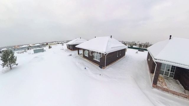 4294605