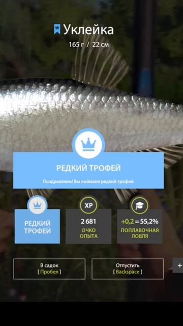 русская рыбалка 4 редкий трофей уклейка #shorts #лайк #подпишись #уклейка смотреть онлайн