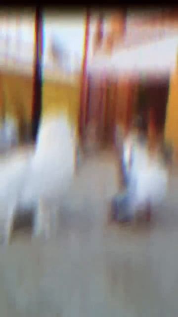 Ek Gedii Maa ...😈 || #pigeonmasti || #shorts смотреть онлайн