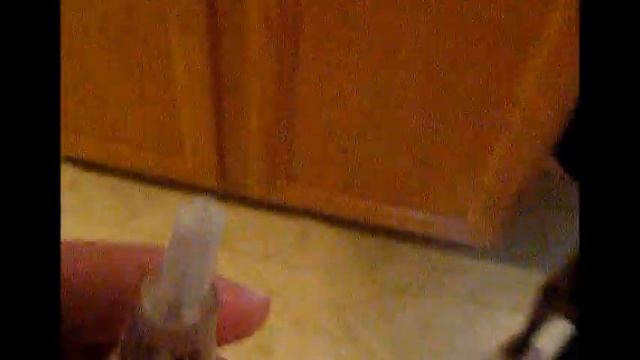 Flea & Tick Prevention for Pitbulls! смотреть онлайн