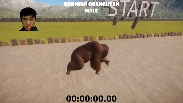 GODRILLA VS ORANGUTAN SPEED RACES IN PLANET ZOO смотреть онлайн