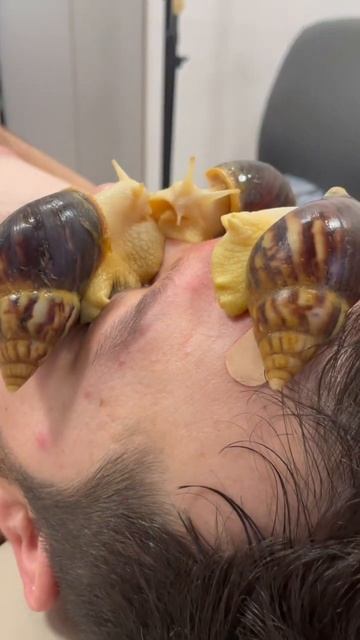 Улитка ахатина 🐌 смотреть онлайн