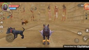 разоблачение босса амата в вилдкравт