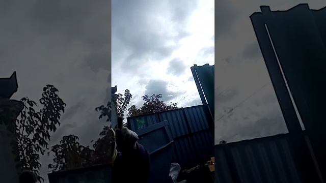 шершни смотреть онлайн