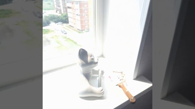 Пришли посылки из SIMA LAND❤ смотреть онлайн