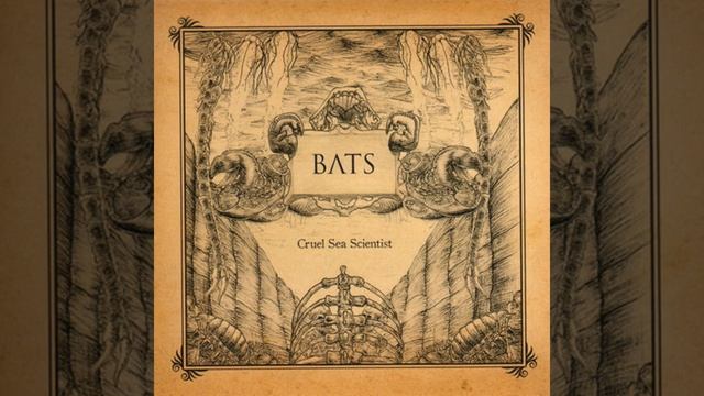 Nautilus vs. Irish Ferry смотреть онлайн