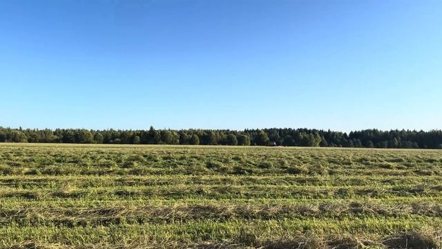 Привела в порядок трактор YTO 1304! Заготавливаем сено! Сколько продали сена? смотреть онлайн